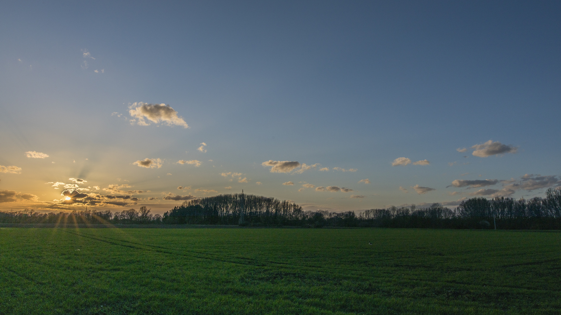 Lichtblick