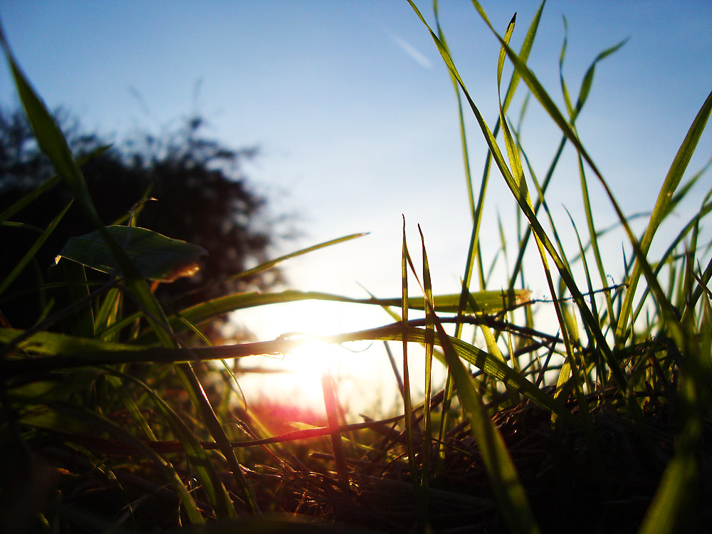 Lichtblick