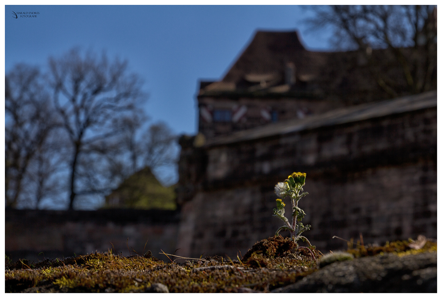 Lichtblick