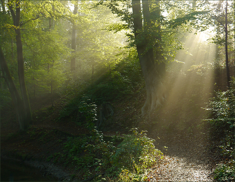 Lichtblick...