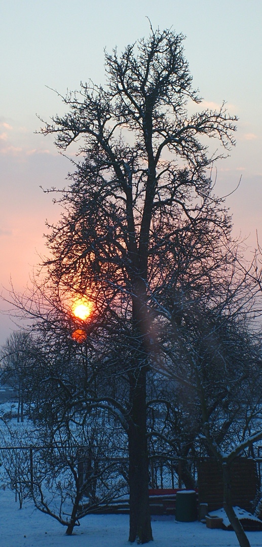 Lichtblick