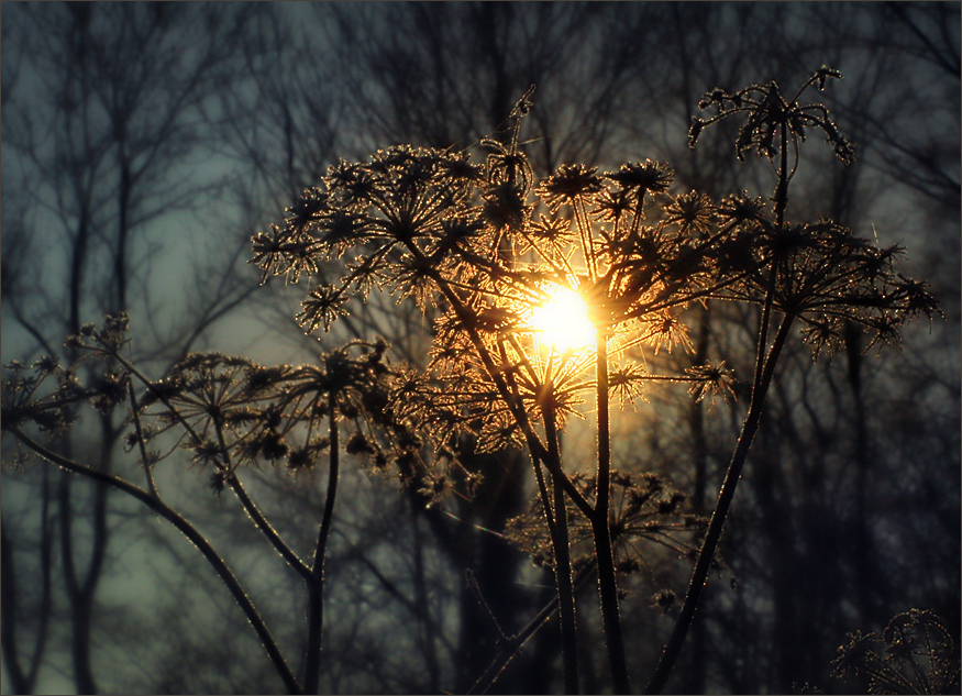 ~ Lichtblick ~