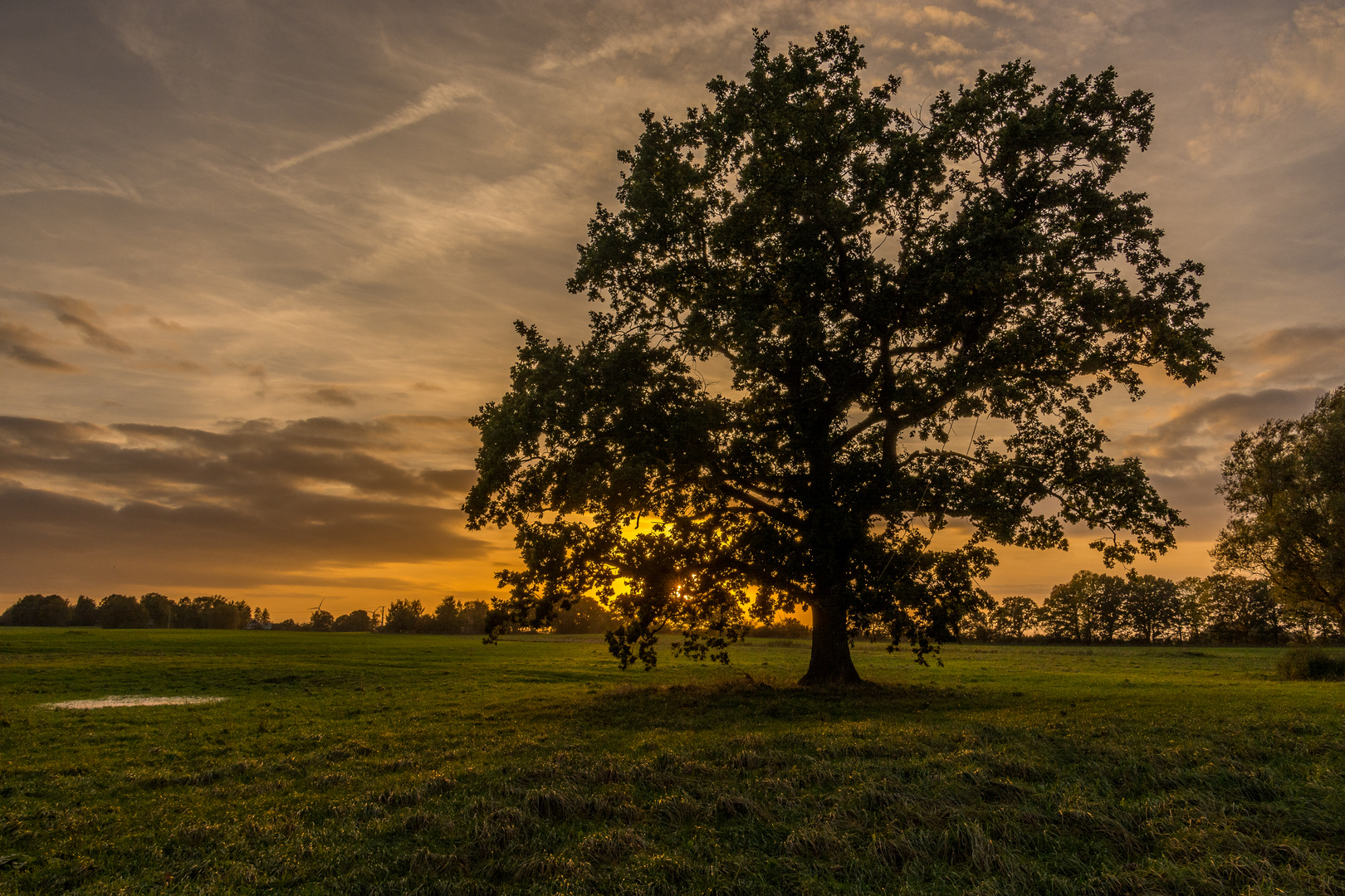 Lichtblick am Abend 