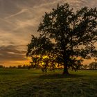 Lichtblick am Abend 