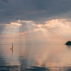 Lichtblick am Bodensee