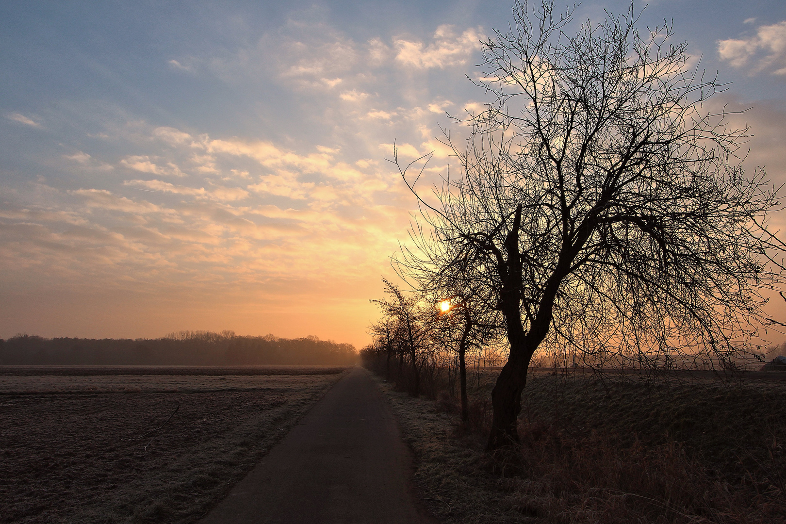 Lichtblick am Ende des Weges