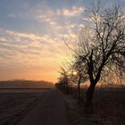 Lichtblick am Ende des Weges