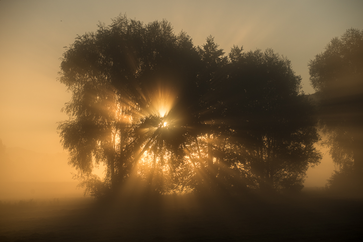 Lichtblick am Morgen (2)