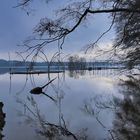 Lichtblick am See