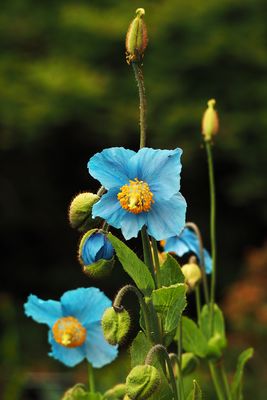 Lichtblick am trüben Tage