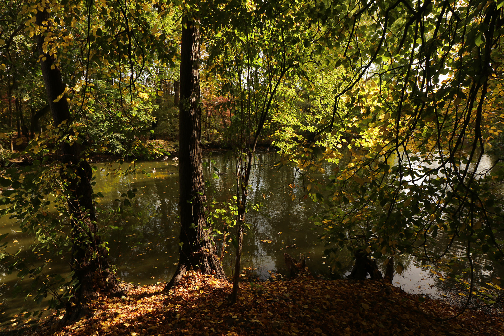 Lichtblick am Ufer