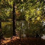 Lichtblick am Ufer