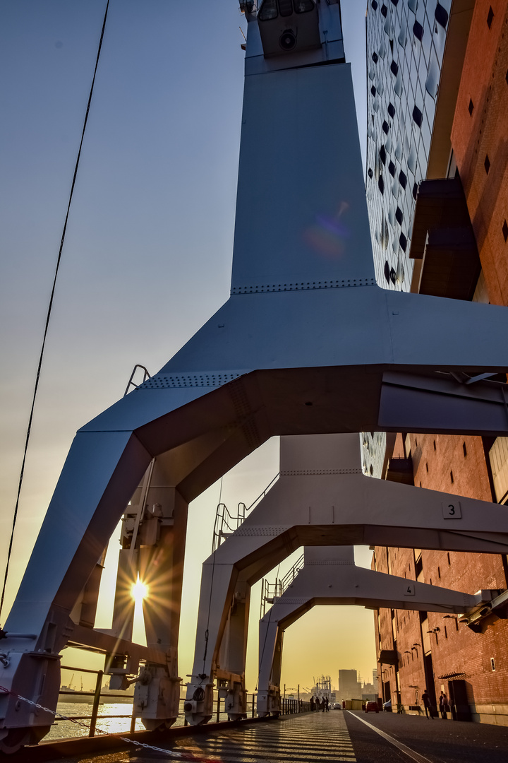 Lichtblick an der Elbphilharmonie