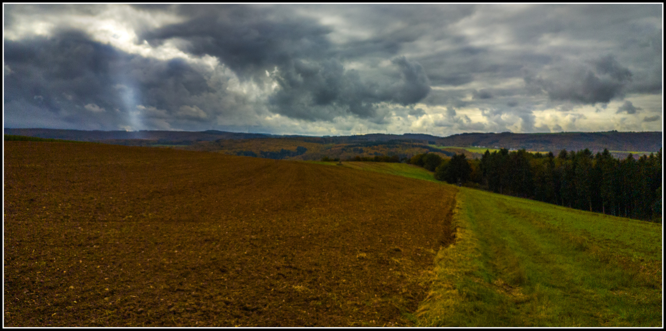 Lichtblick auf der Rheinebene