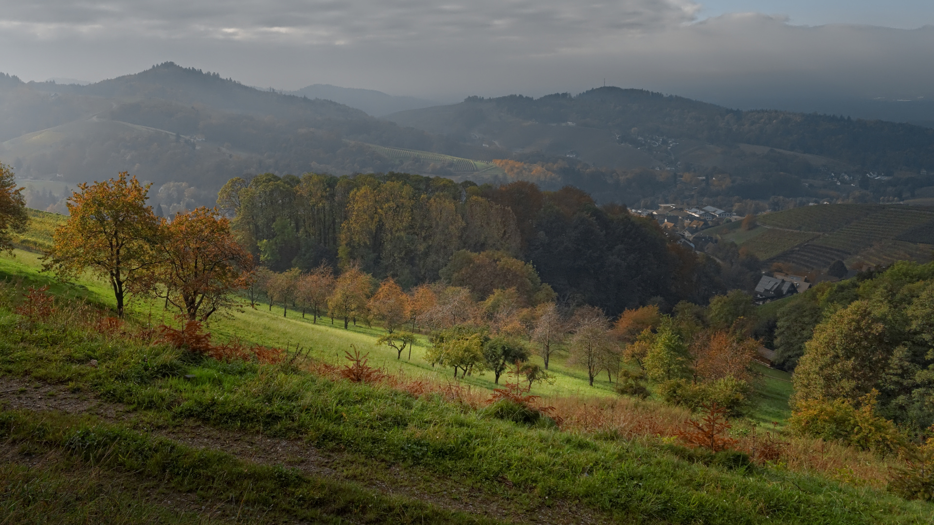 Lichtblick