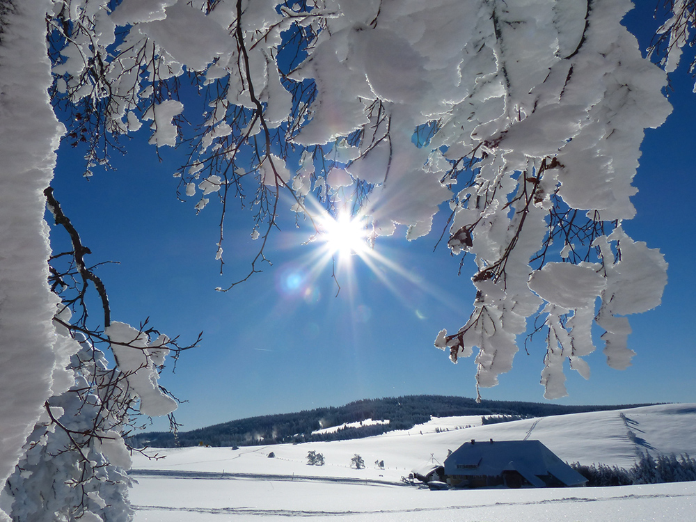 LichtBlick