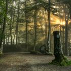 Lichtblick beim Aussichtsturm Ebersberg