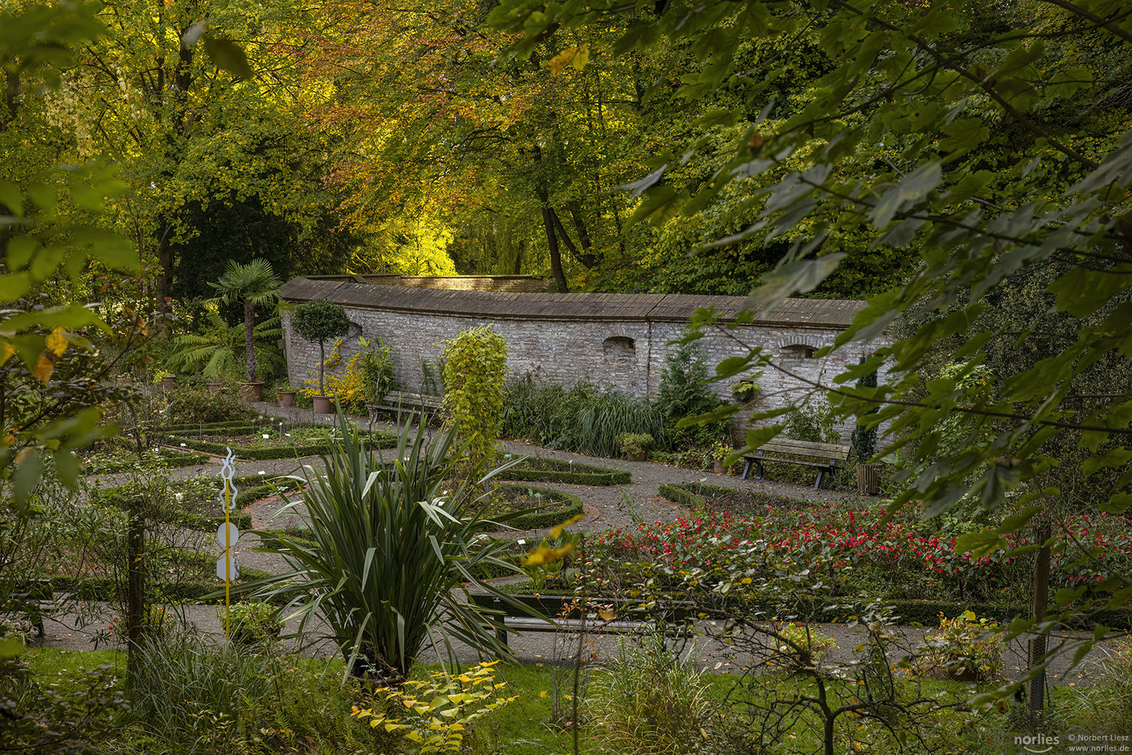 Lichtblick beim Kräutergarten