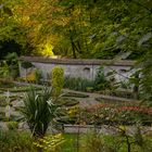 Lichtblick beim Kräutergarten