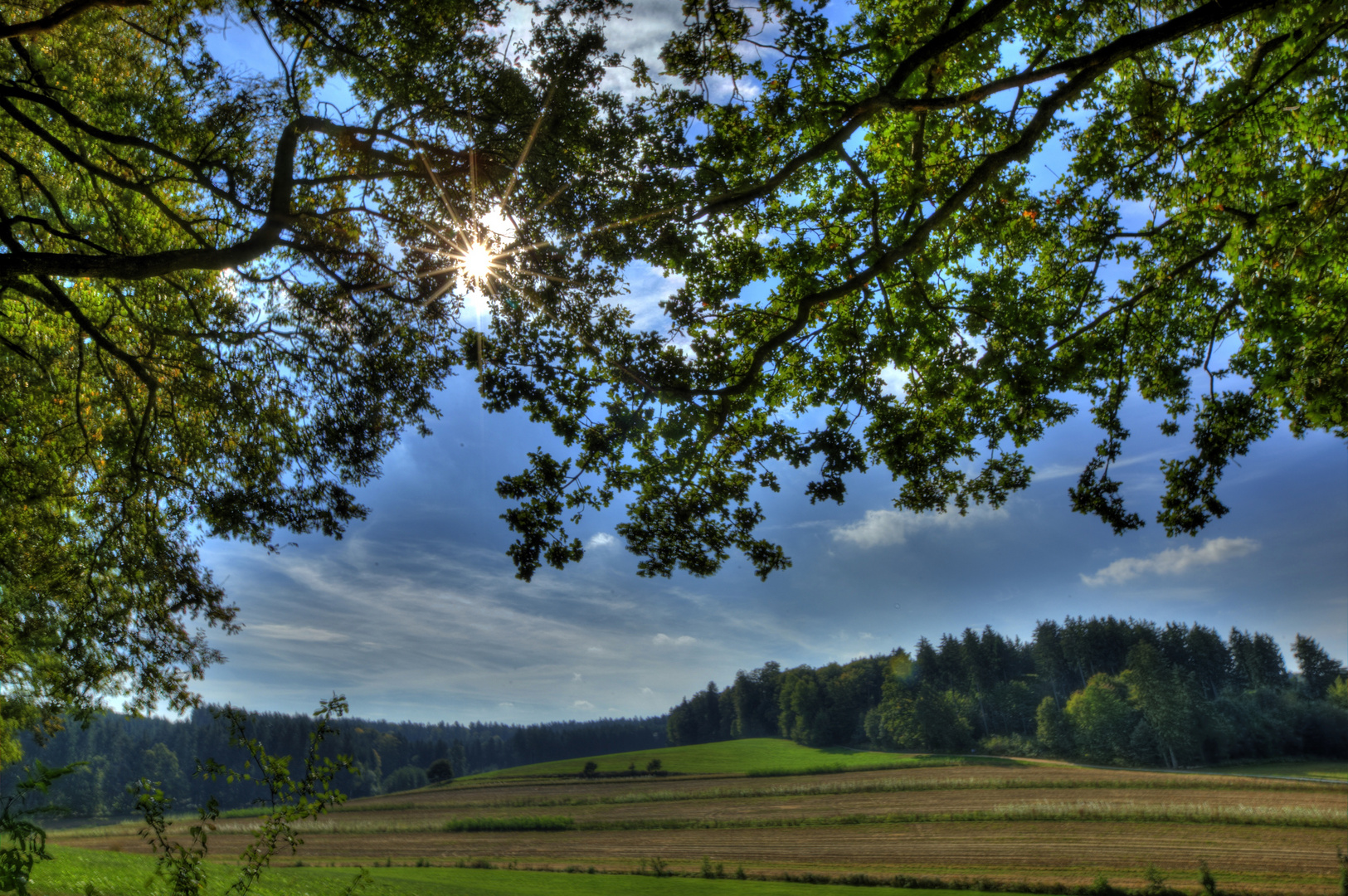 Lichtblick