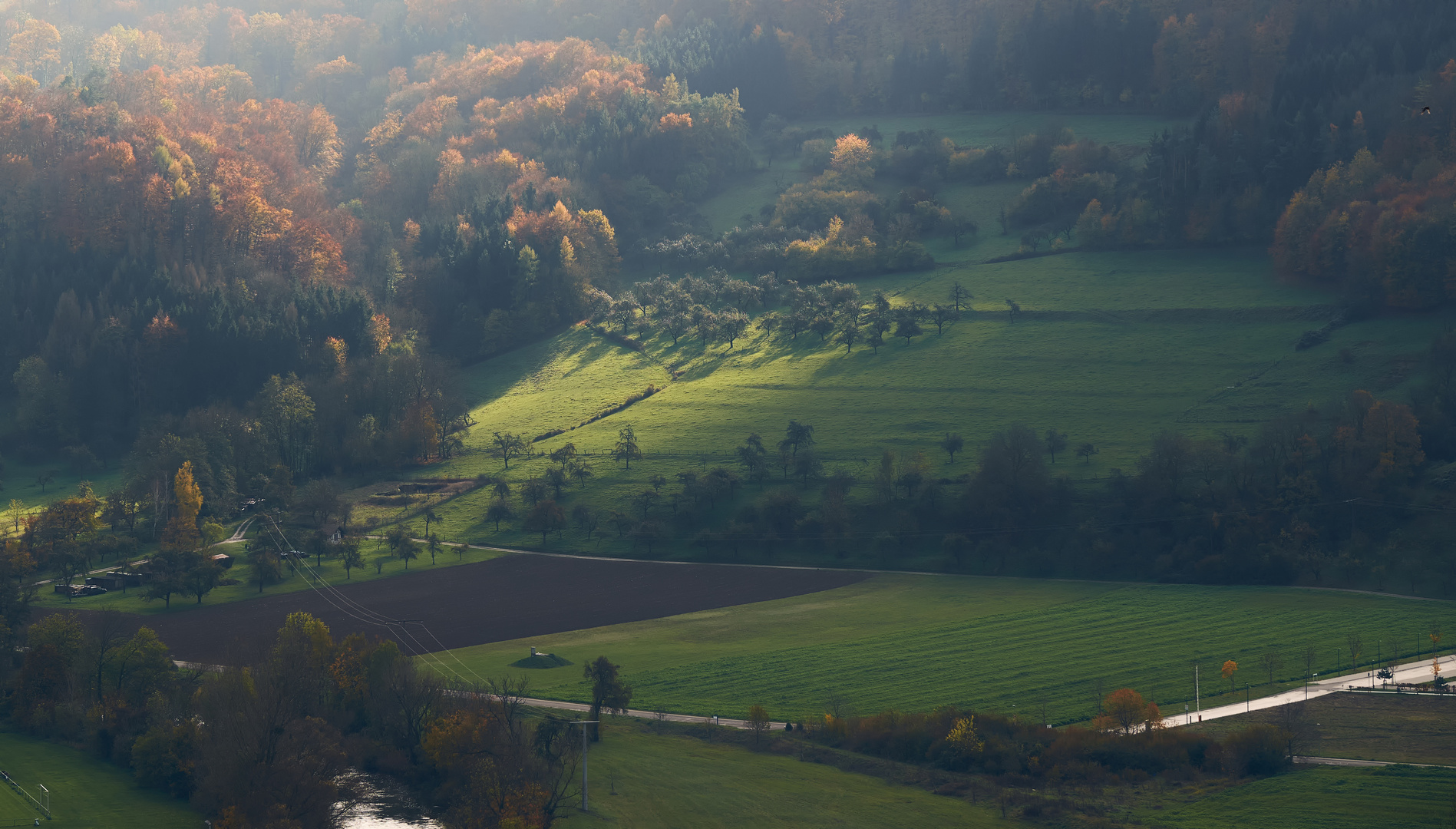 Lichtblick