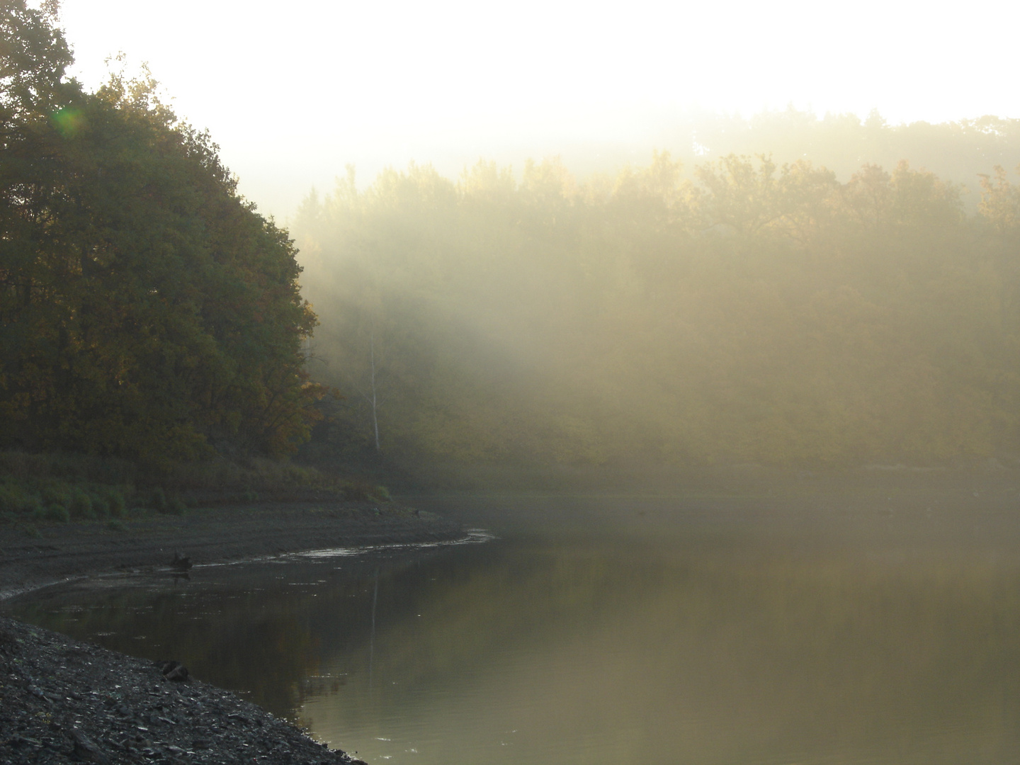 Lichtblick