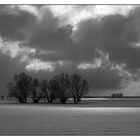 Lichtblick - ein Hauch von Winter