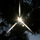 Lichtblick