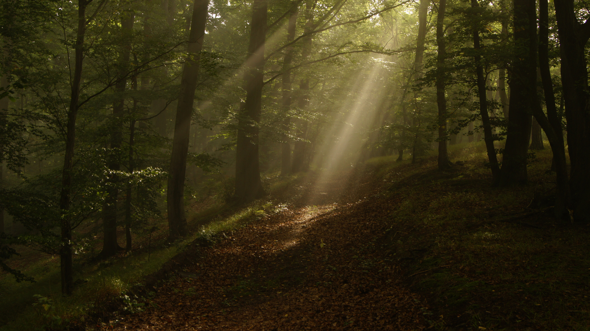 Lichtblick