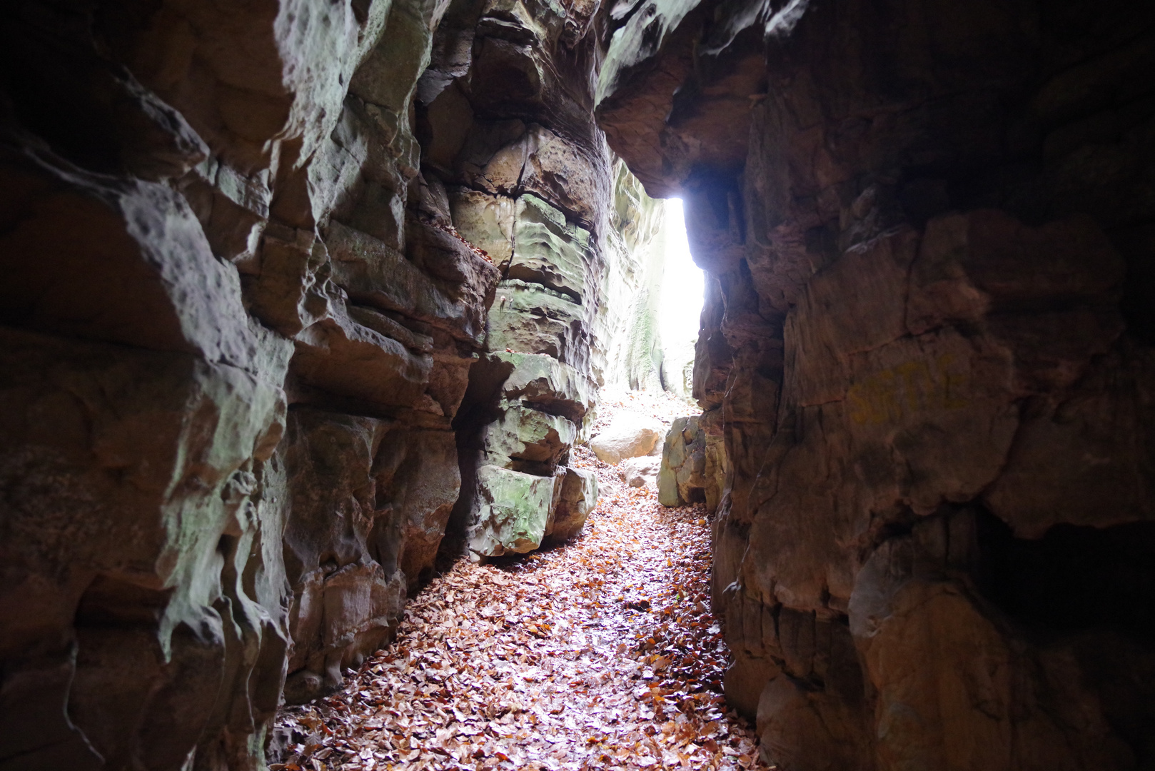 Lichtblick (Goldfralay)