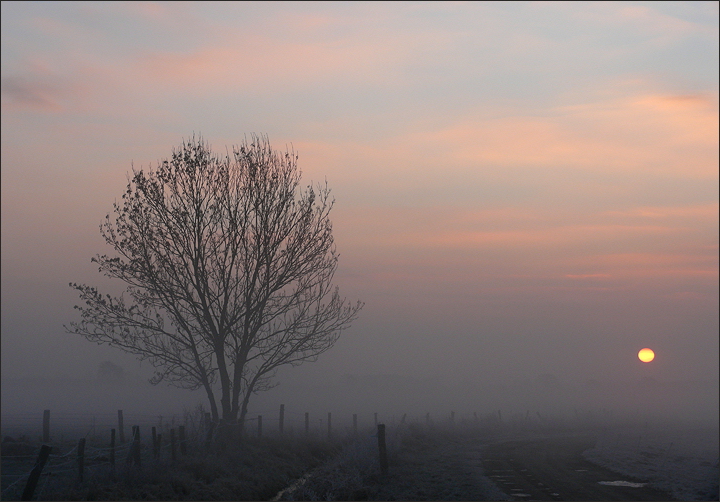 Lichtblick II