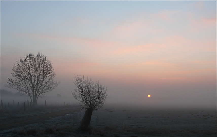 Lichtblick III