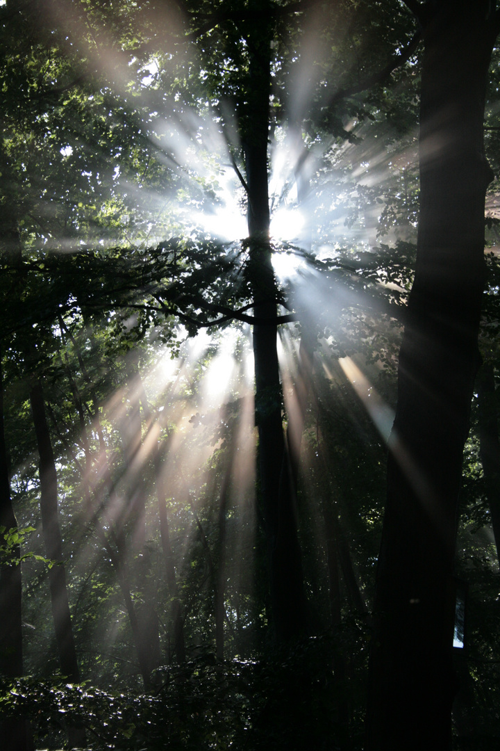 Lichtblick im Dunkel