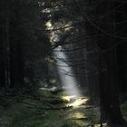 Lichtblick im Harz