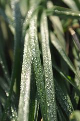 Lichtblick im Herbstregen