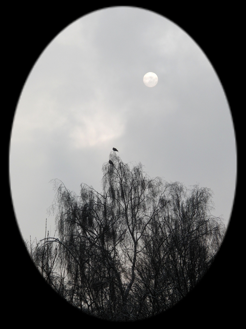 Lichtblick im MorgenGRAUEN über dem Friedhof