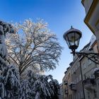 Lichtblick im Winter