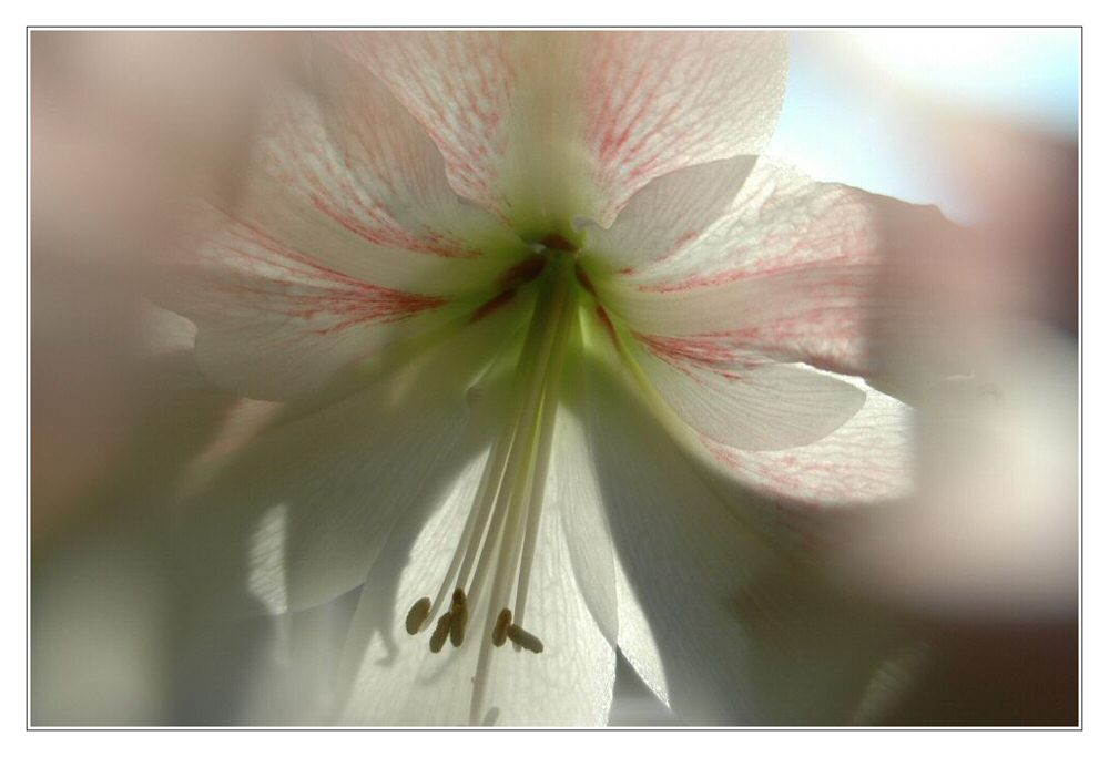 Lichtblick im Winter