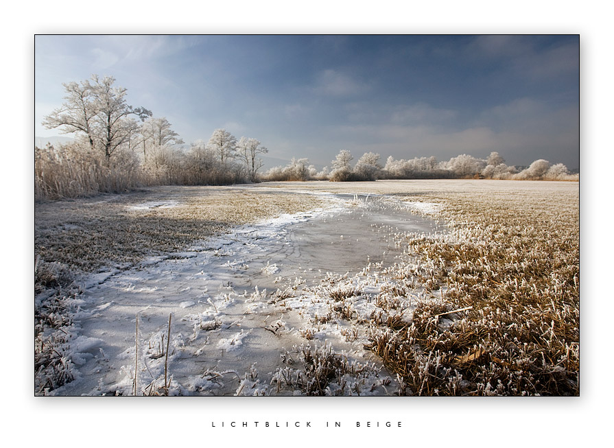 Lichtblick in Beige