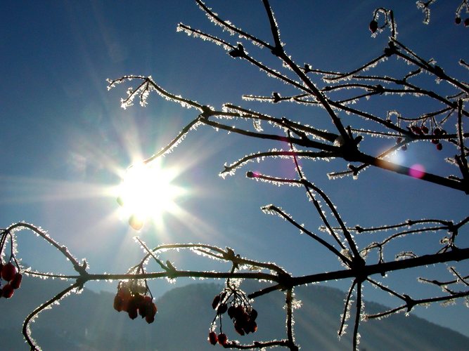 Lichtblick in der Kälte