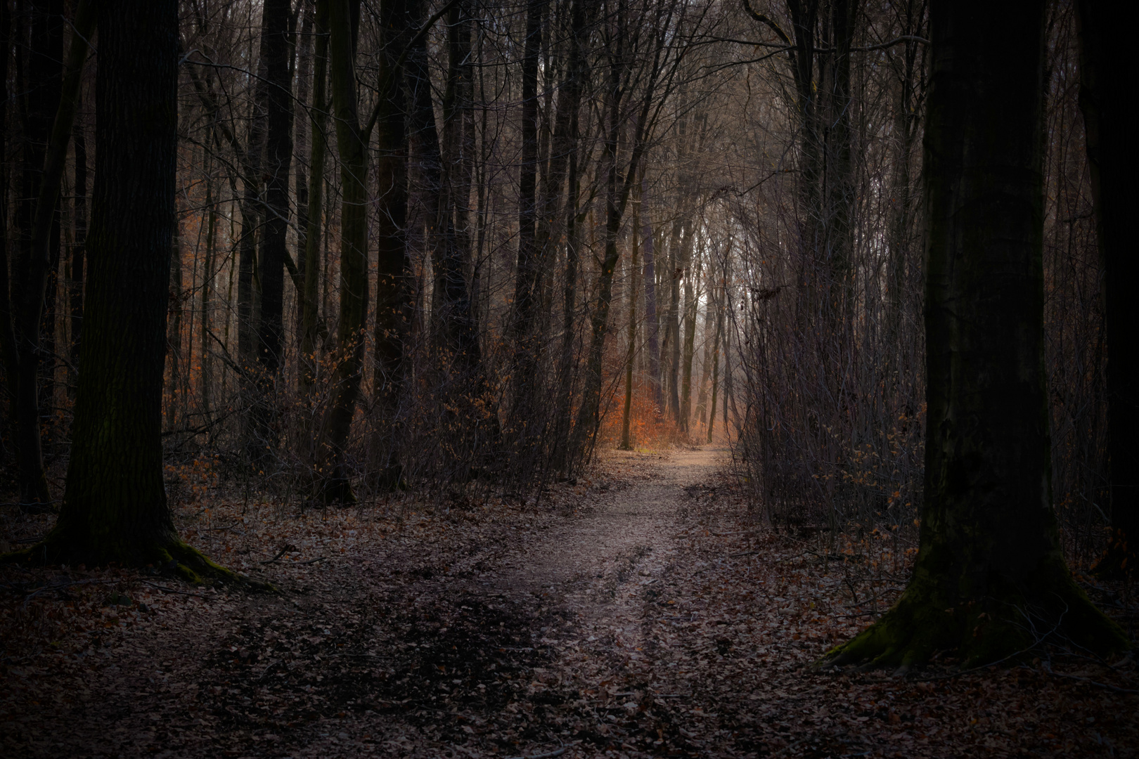 Lichtblick in eine ungewisse Zeit