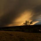 Lichtblick nach dem Sturm