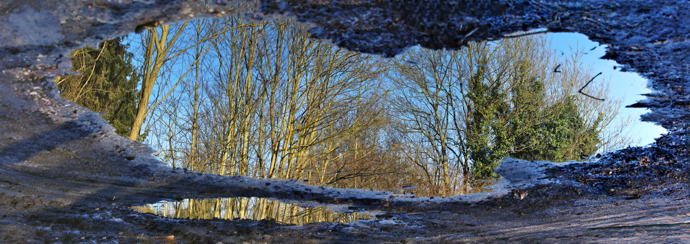 Lichtblick nach der Dunkelzeit