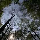 Lichtblick, Ostern in den Hörselbergen