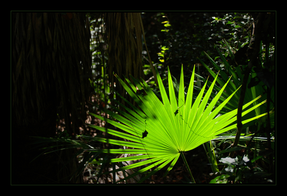 Lichtblick (reloaded)