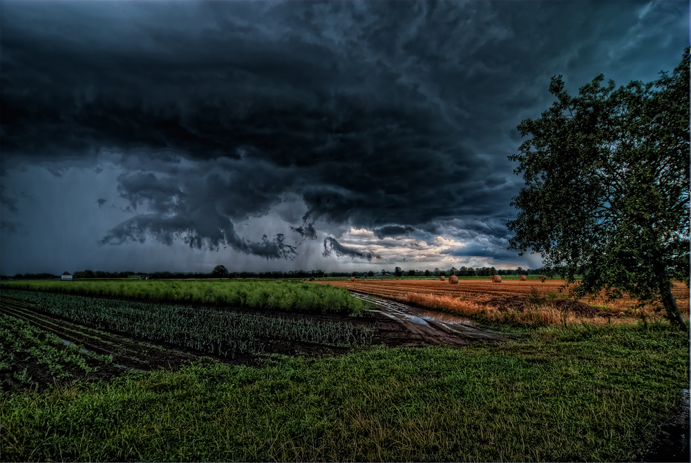 Lichtblick vor dem Donnerwetter