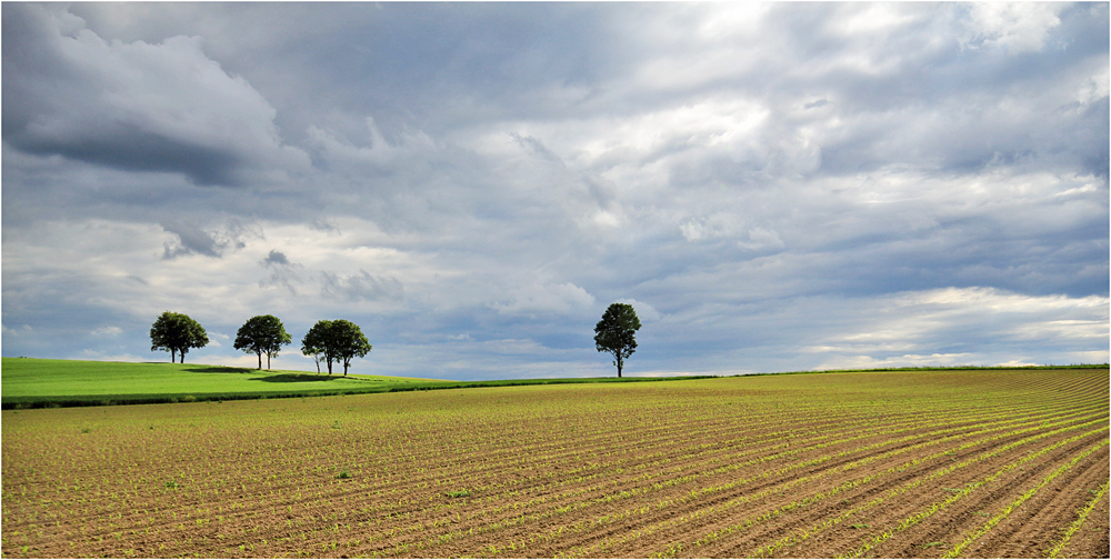 Lichtblick vor trübem Wolkenhimmel