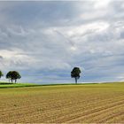 Lichtblick vor trübem Wolkenhimmel