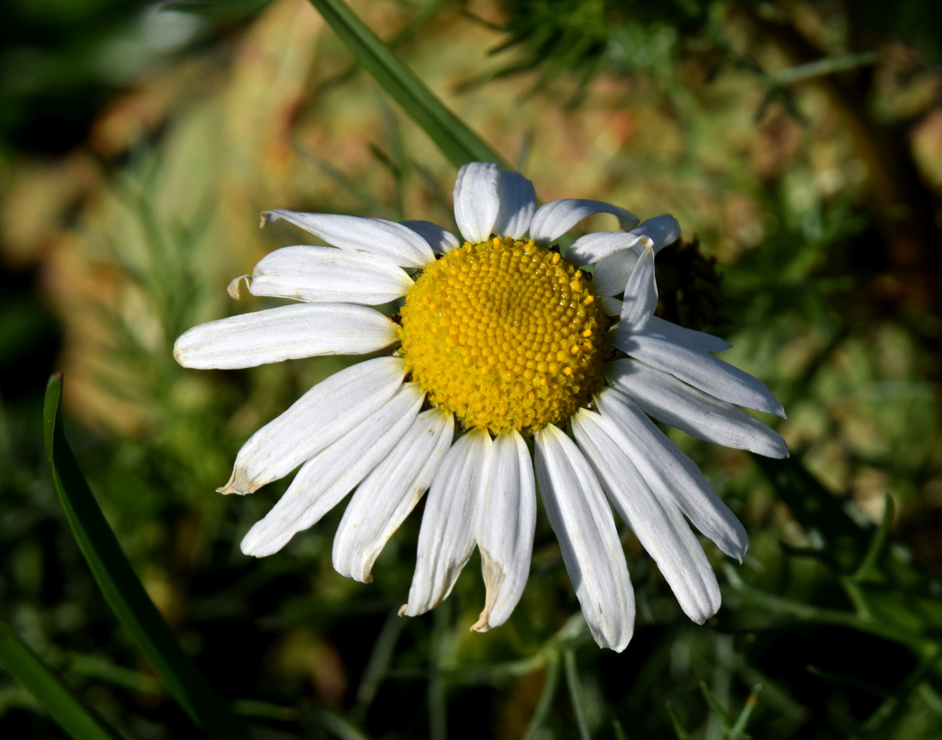 Lichtblick zum Abschied