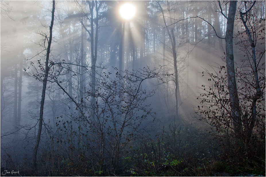 Lichtblicke